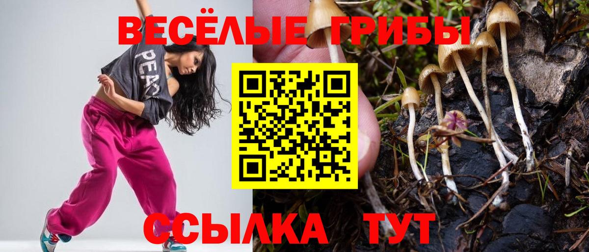 Псилоцибиновые грибы мухоморы  Вход с VPN  Апшеронск 